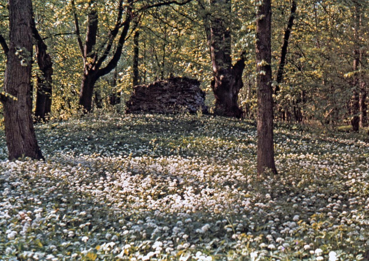 Kvarnvillan Lummelundsbruk VBY Exterior foto